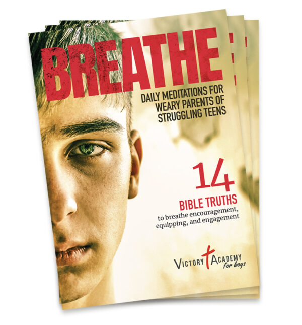 Breathe - 3 Pack