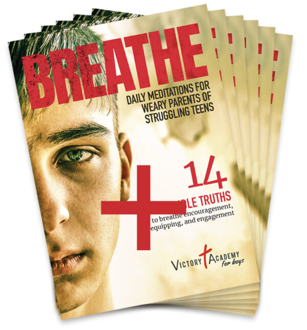 BREATHE 14 - Day Biblical Devotional (6 Pack)