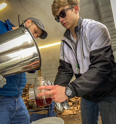 Maple syrup making