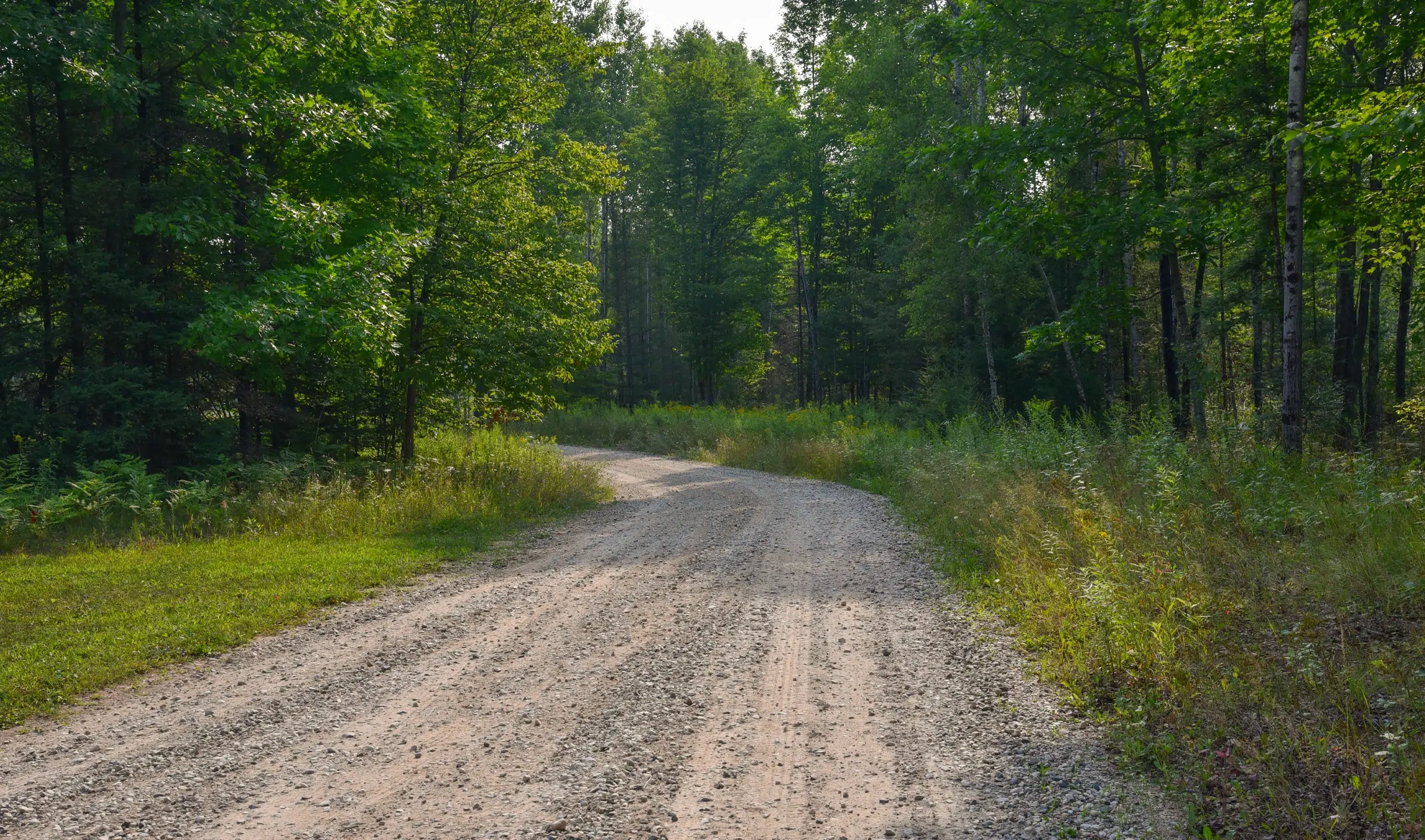 The road God led us down in restoring our family