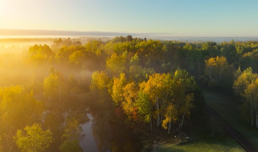 beautiful panorama landscape with sun and forest and meadow at sunrise. sun rays shine through trees. panoramic view